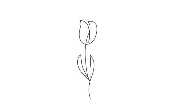 Tulip Flower Animation: Elevate Your Visuals with Flow